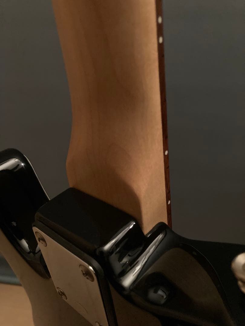 Bacchus バッカス　ユニバース　テレキャスター　クリーニング•調整済み