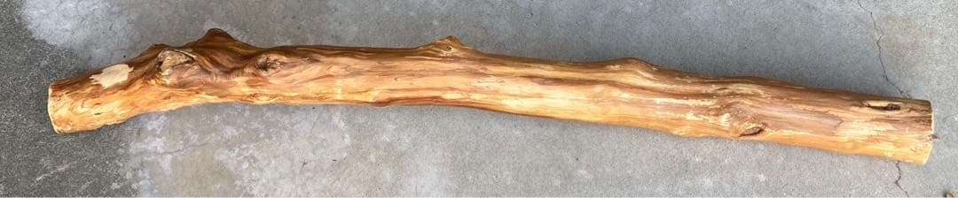 希少　樹齢150〜200年　杉枝　約126cm 鑑賞　庭　インテリア 骨董　華道