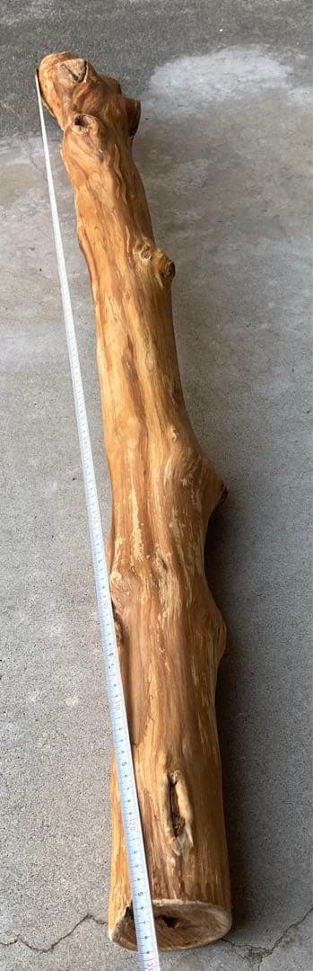 希少　樹齢150〜200年　杉枝　約126cm 鑑賞　庭　インテリア 骨董　華道