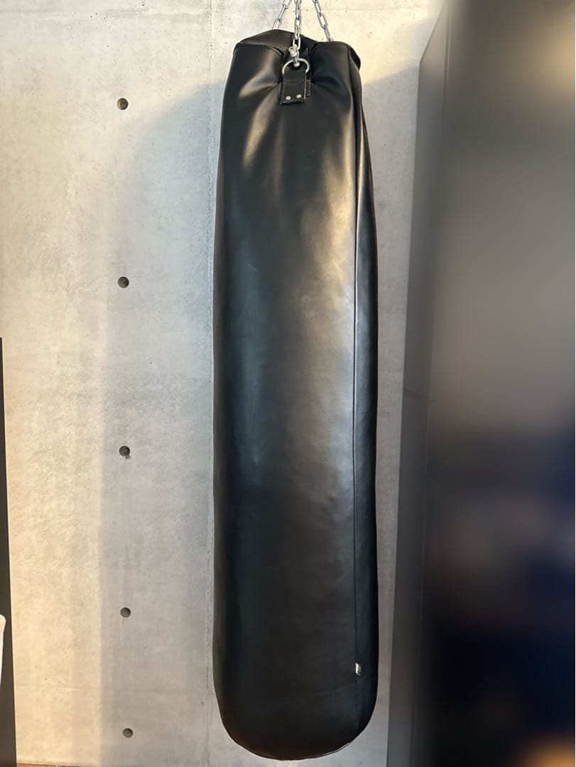 WILD FIT GYM サンドバッグ グローブ付き（説明欄必読）