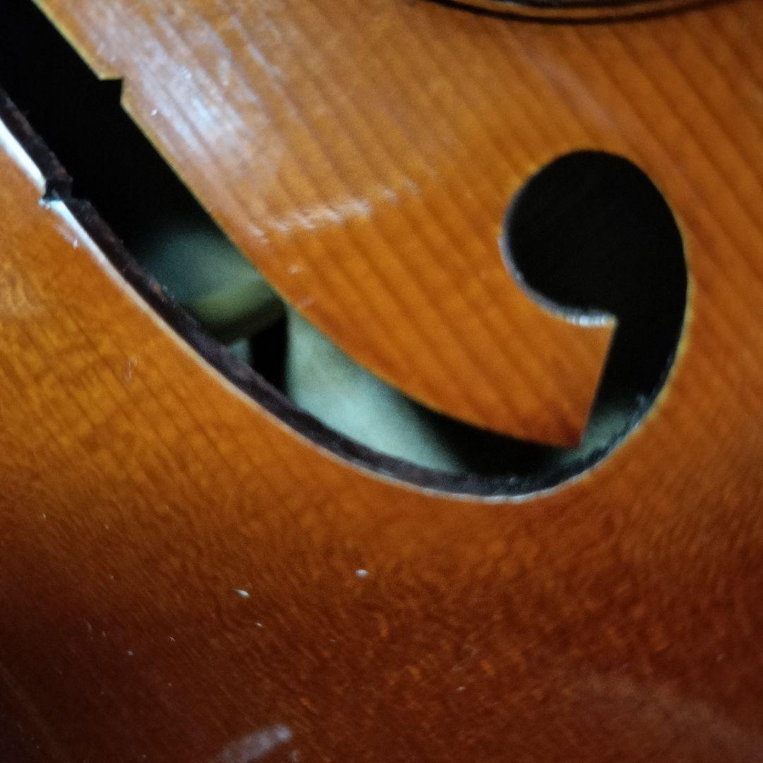 最終値下 ピグマリウス スタンダード 4/4 2020 イーストマンケース付