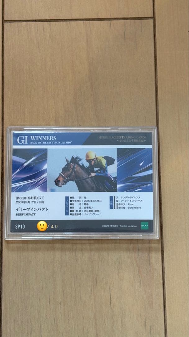 ディープインパクト武豊　インサートカード　40シリアル