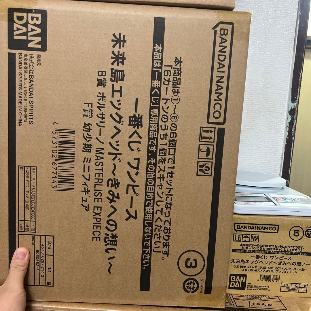 ワンピース 未来島エッグヘッド～きみへの想い～　新品1ロット　販促物くじ券付