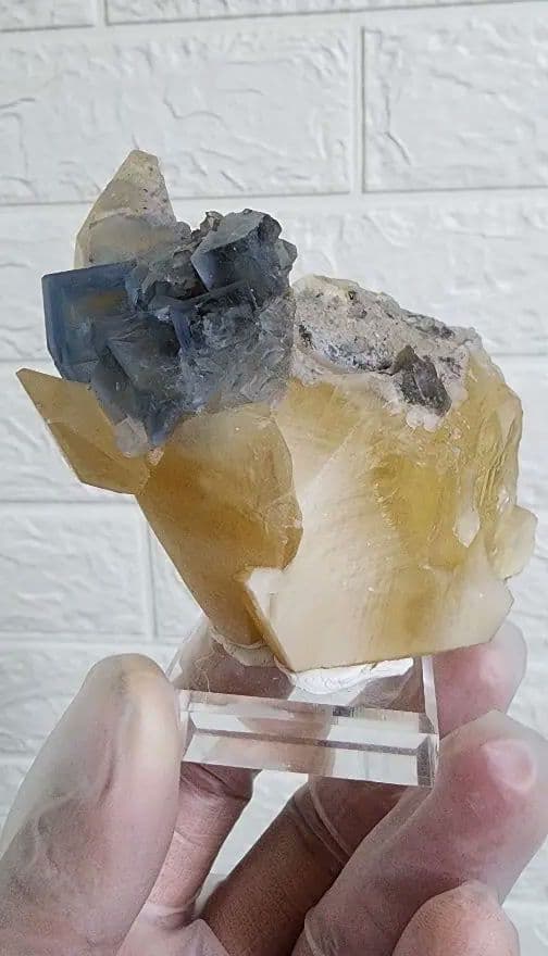 金色の方解石の上に蛍石