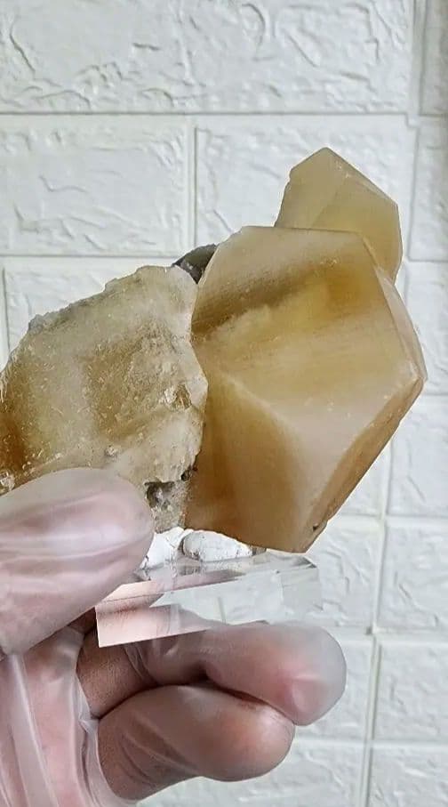 金色の方解石の上に蛍石