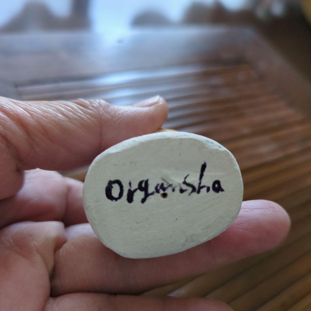 にしおゆき　陶人形　おるがん社 トルソ