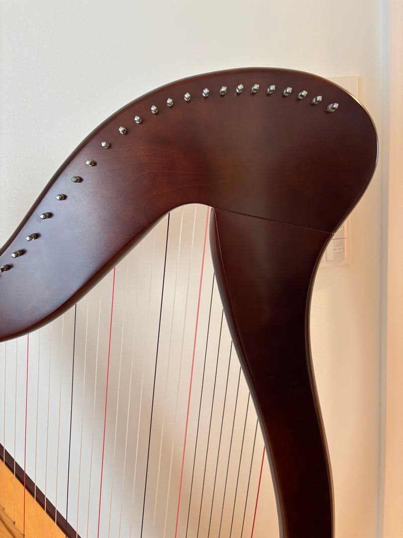青山ハープ 34弦 130DB 弦楽器