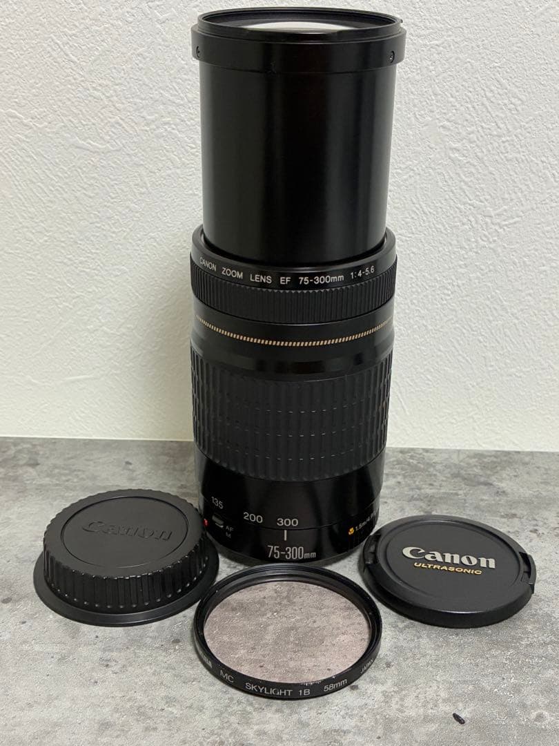 ⭐️美品⭐️Canon EF 75-300mm F/4-5.6 USM