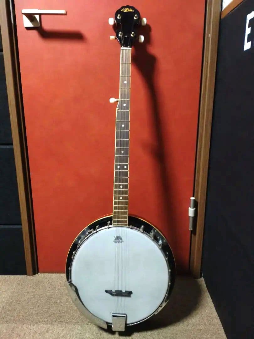 ARIA ５弦バンジョー