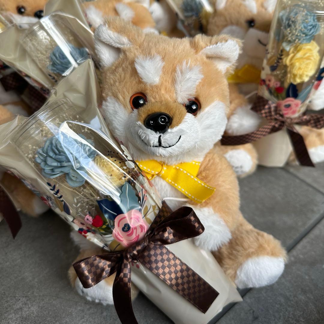 しばいぬ　柴犬　ぬいぐるみ　雑貨　新品　6個　プレゼント