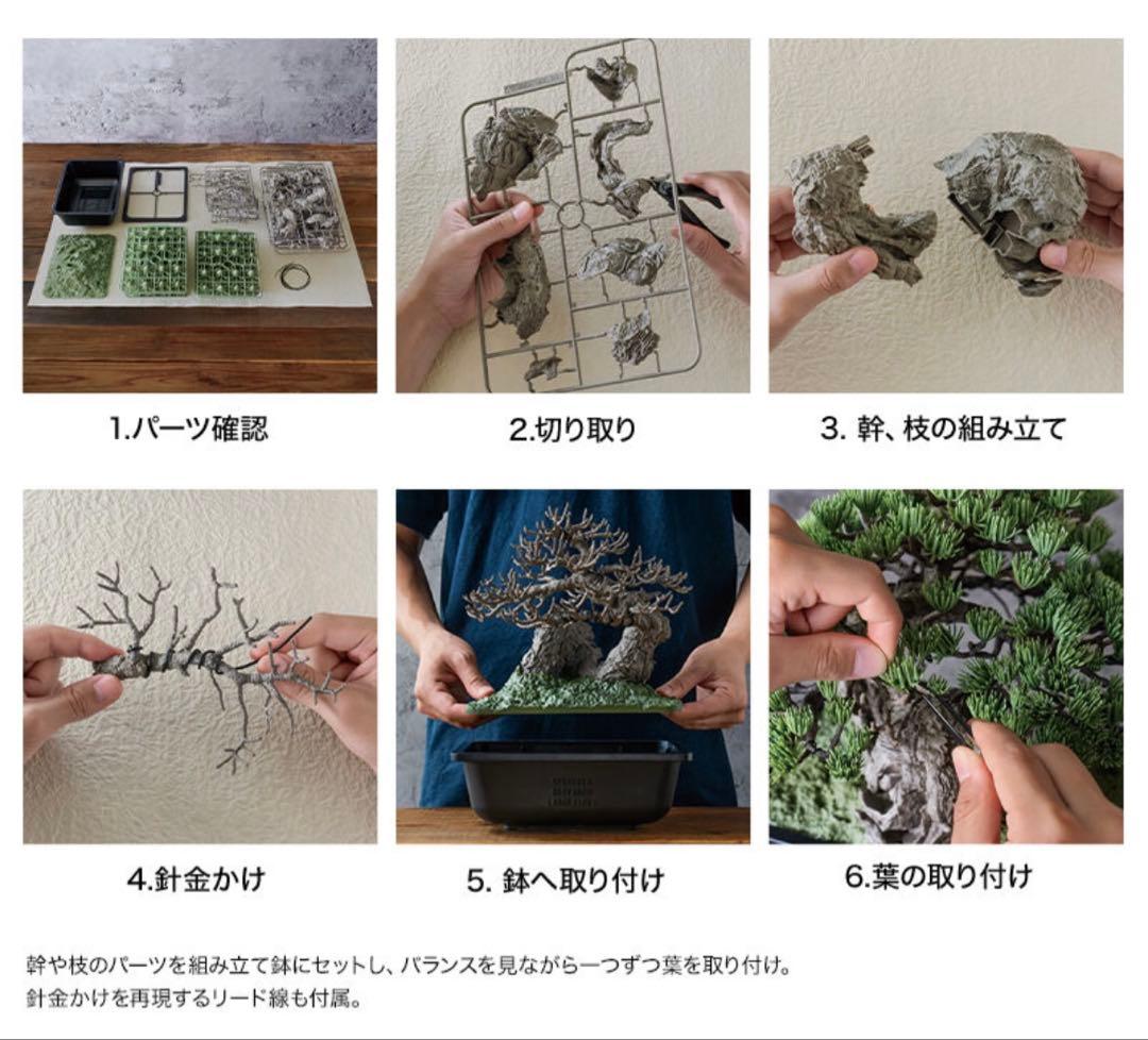 NEIGHBORHOOD SRL BANDAI BONSAI 盆栽のみ