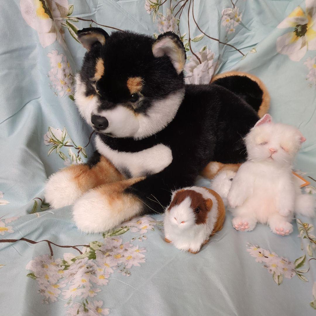 黒柴 犬 猫 テディベア モルモット ぬいぐるみ アートドール