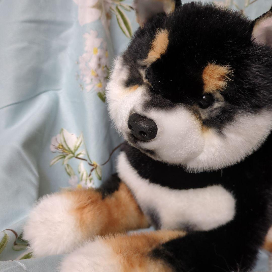 黒柴 犬 猫 テディベア モルモット ぬいぐるみ アートドール