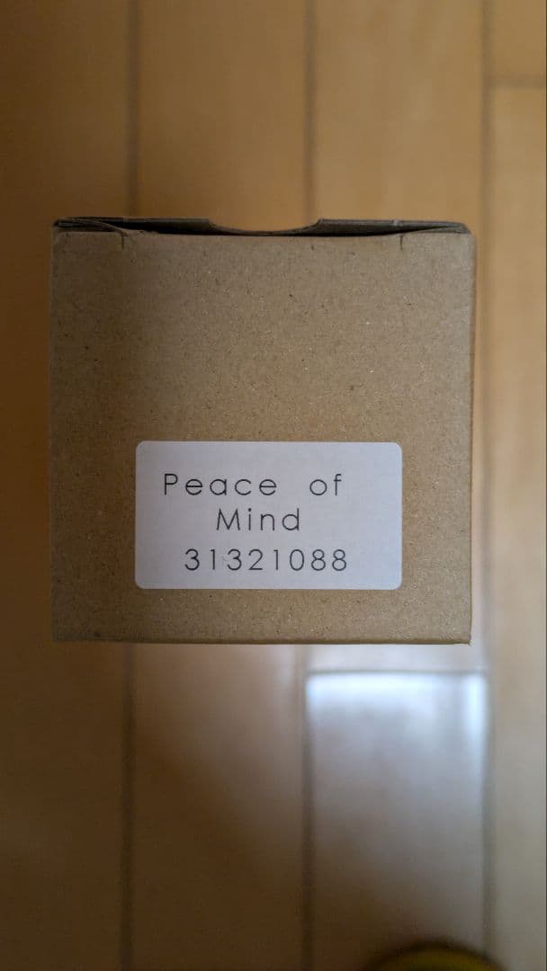 【希少】奈良美智公式ポスター「Peace of Mind」B2