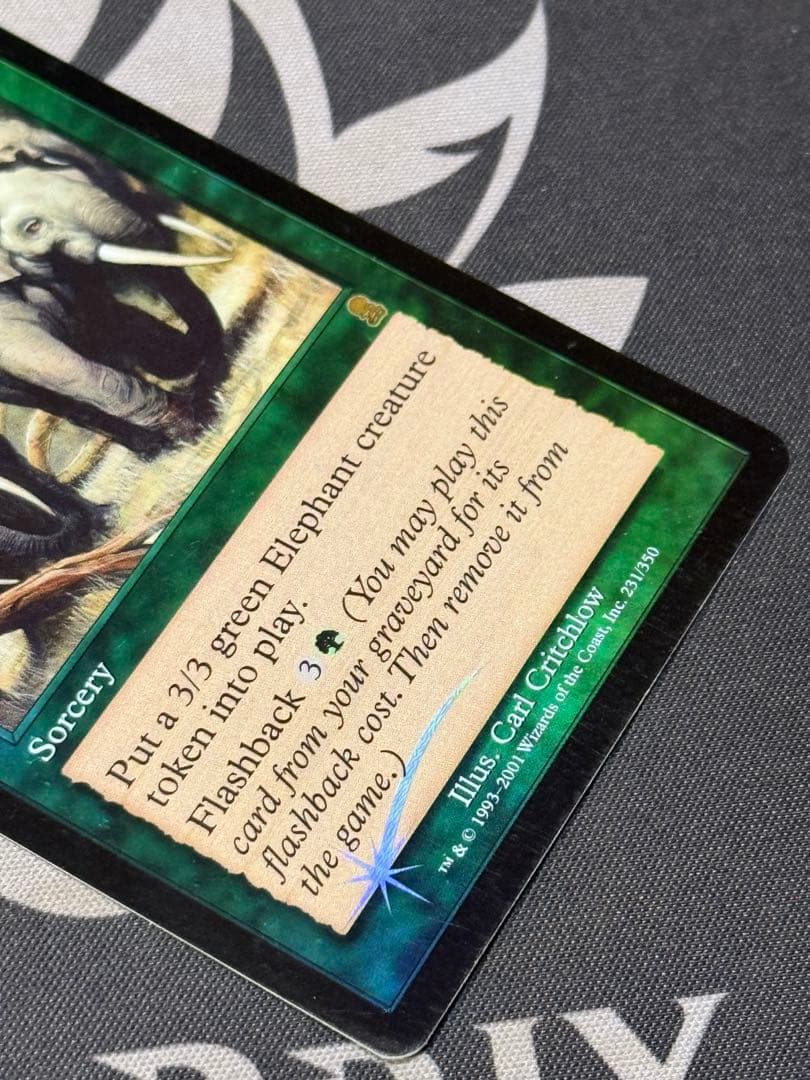 獣群の呼び声　英語　FOIL