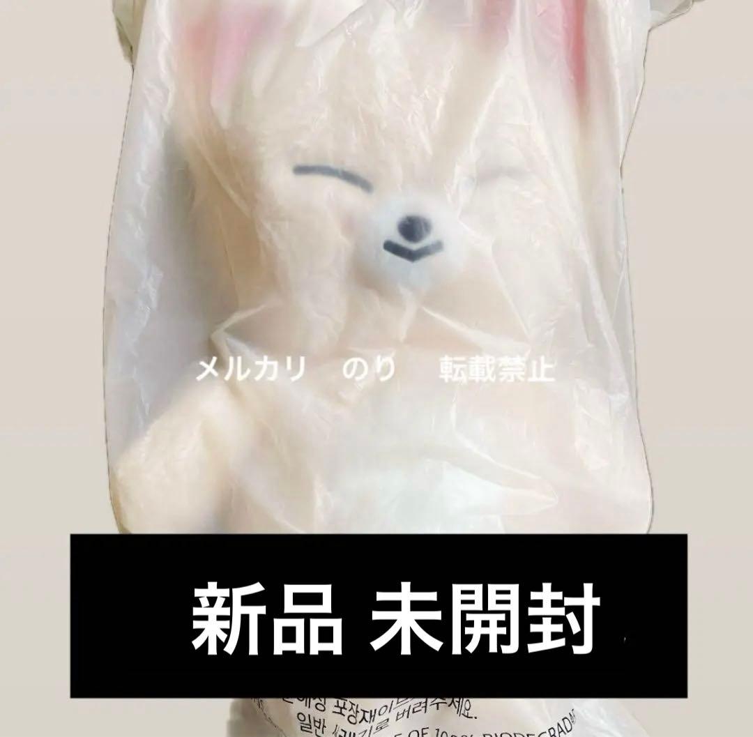 STRAYKIDS SKZ 5clock ぬいぐるみ テディベア アイエン