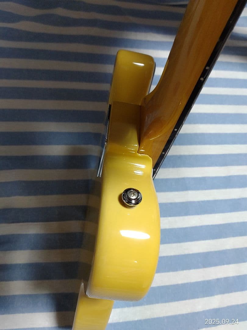 GrassRoots by ESPのテレキャスタイプG-TE-50R使用感少美品