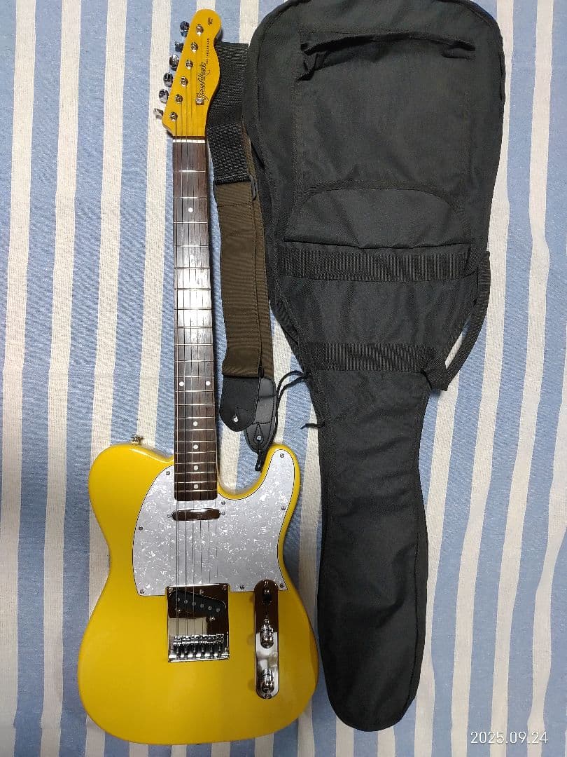 GrassRoots by ESPのテレキャスタイプG-TE-50R使用感少美品