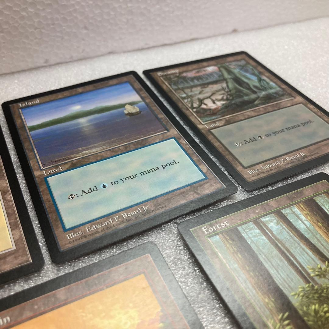 【MTG】基本土地 APAC① 5枚セット