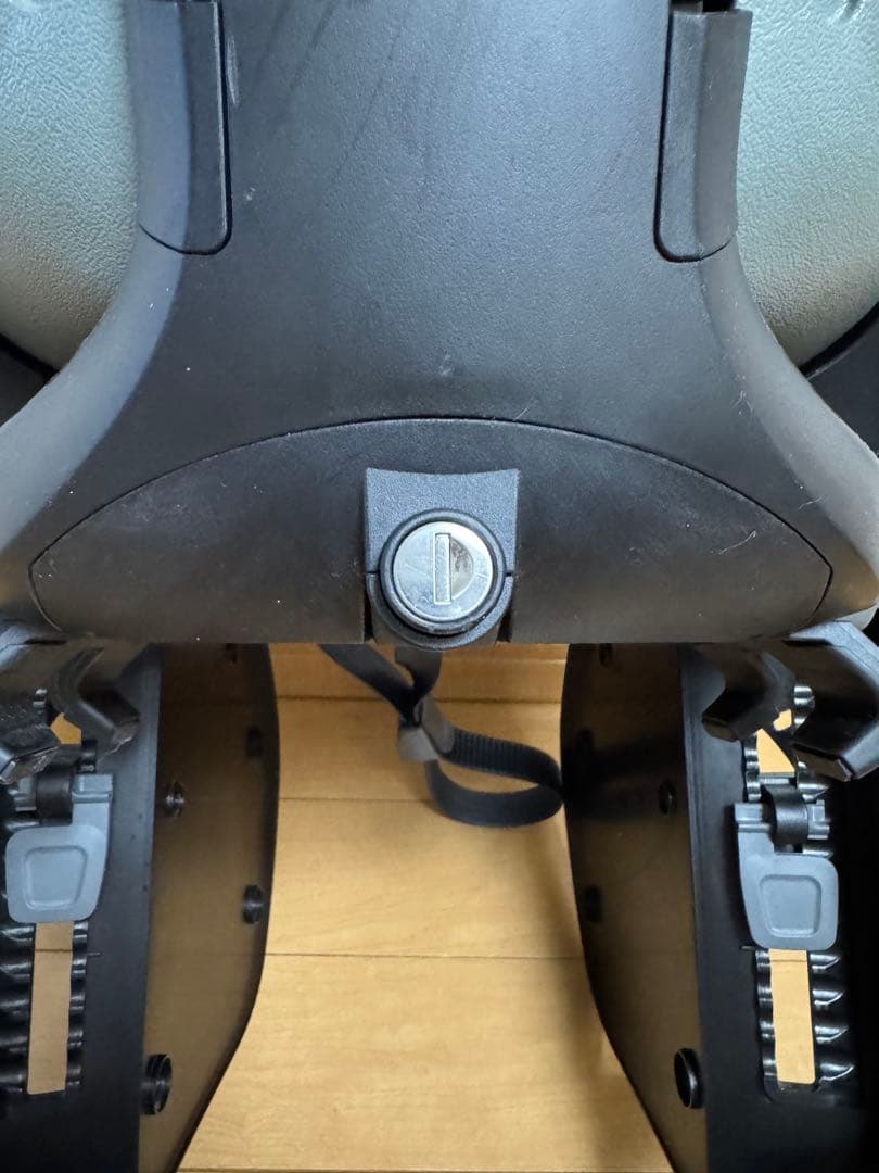 Thule Yepp 2 Maxi （スーリー・イエップ・ツー・マキシ）/グレー