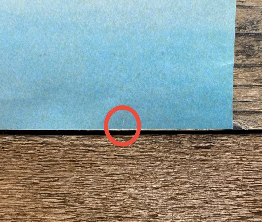 【非売品】　The Cardigans カーディガンズ　プロモ B2ポスター