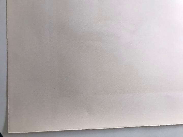 ★J5★古沢岩美「樹精」リトグラフ　限定品　直筆サイン有り