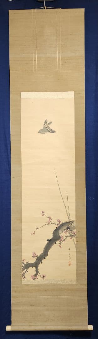 【紅梅に鴬図】望月玉渓 2616 ウグイス 望月玉成識箱　掛け軸　肉筆