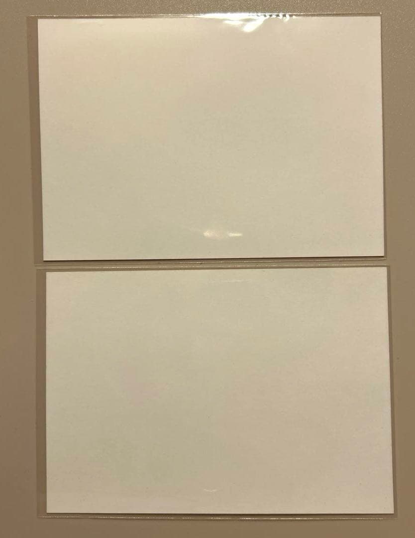 ワンピース サンジ＆ゾロ バースデーブロマイド 初回限定