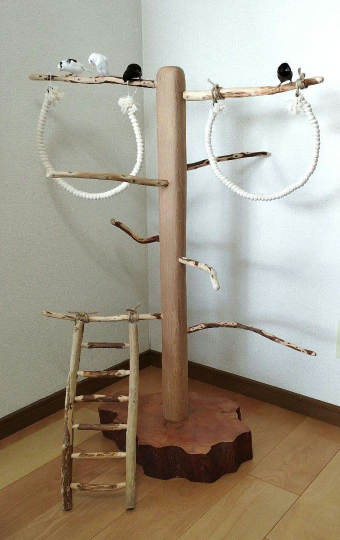 【中型鳥さん用】螺旋状♬バードアスレチック