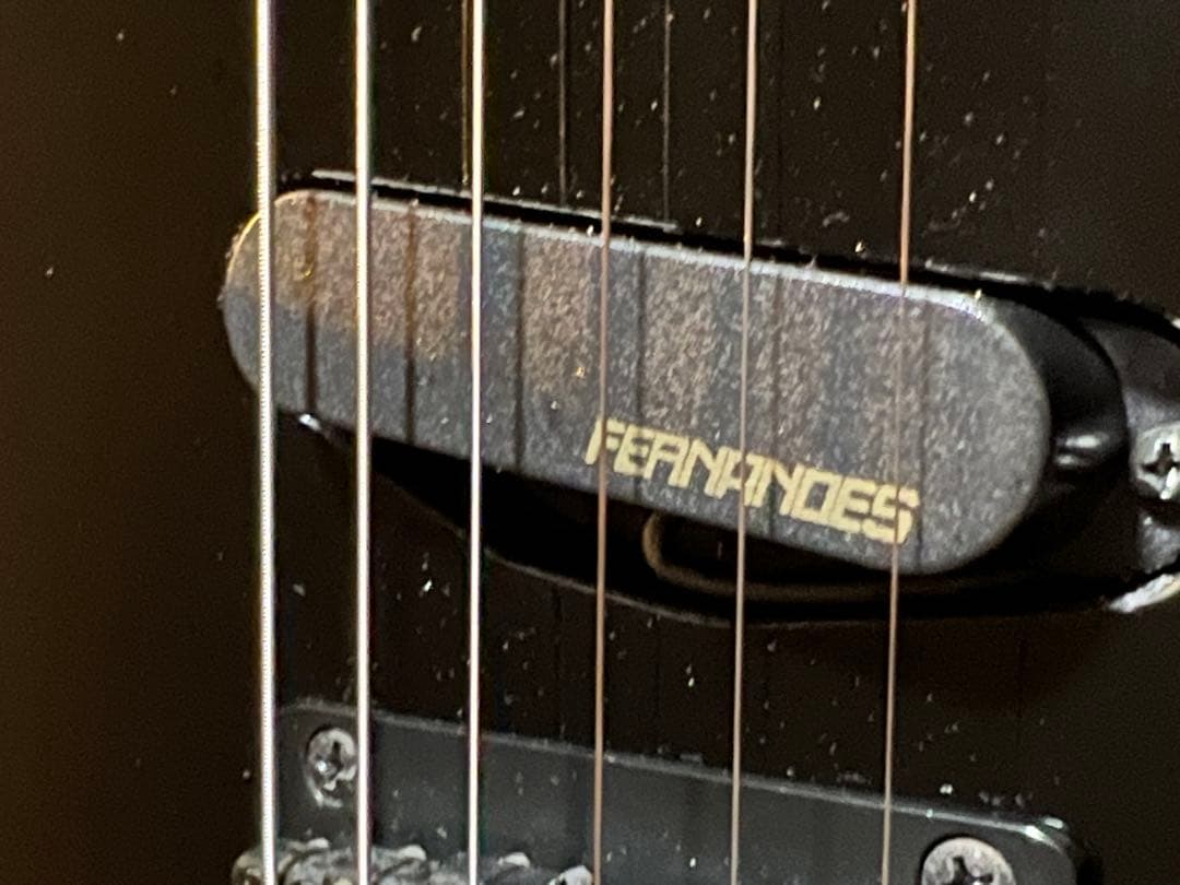 ギター FERNANDES TEJ-STD 2S