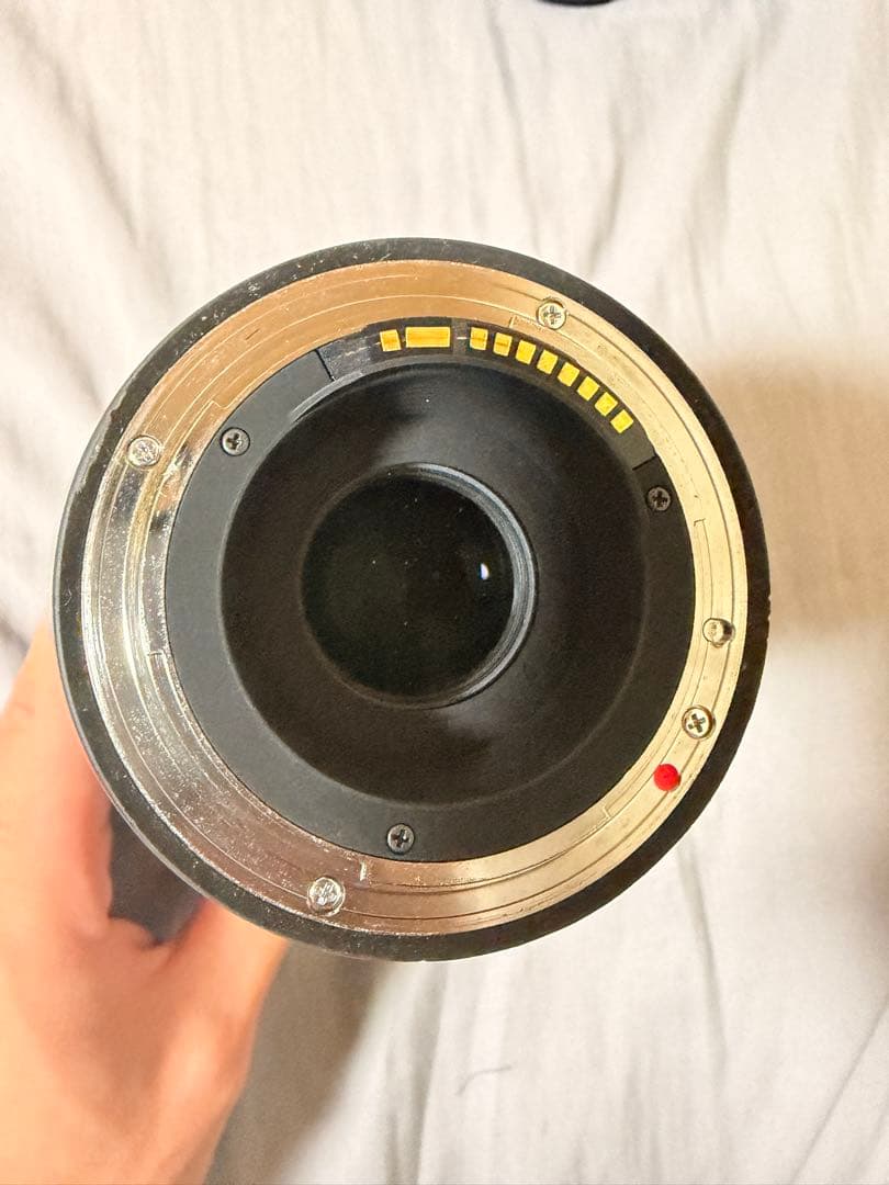 Canon EOS Kiss x10 一眼レフ SIGMA望遠レンズセット