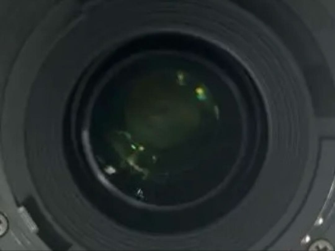 ②NIKKOR AF-S DX55-200㎜f4.5-5.6G ED VR II