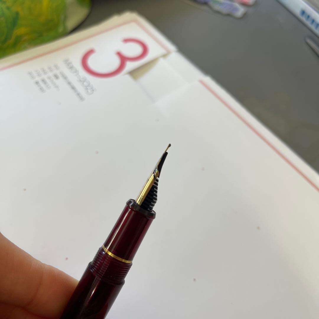 プラチナセンチュリー3776万年筆