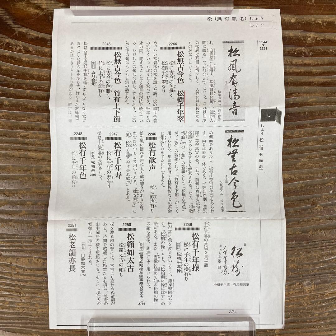 美品 掛け軸 有馬頼底作「松樹千年」相国寺 共箱 禅語 茶掛け 縁起物