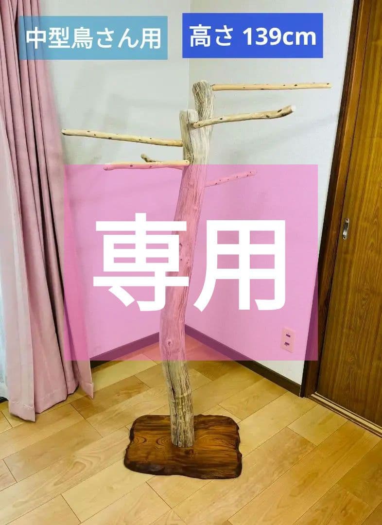 【中型鳥さん用】眺めのいい♬バードスタンド＆桜の木バードアスレチック