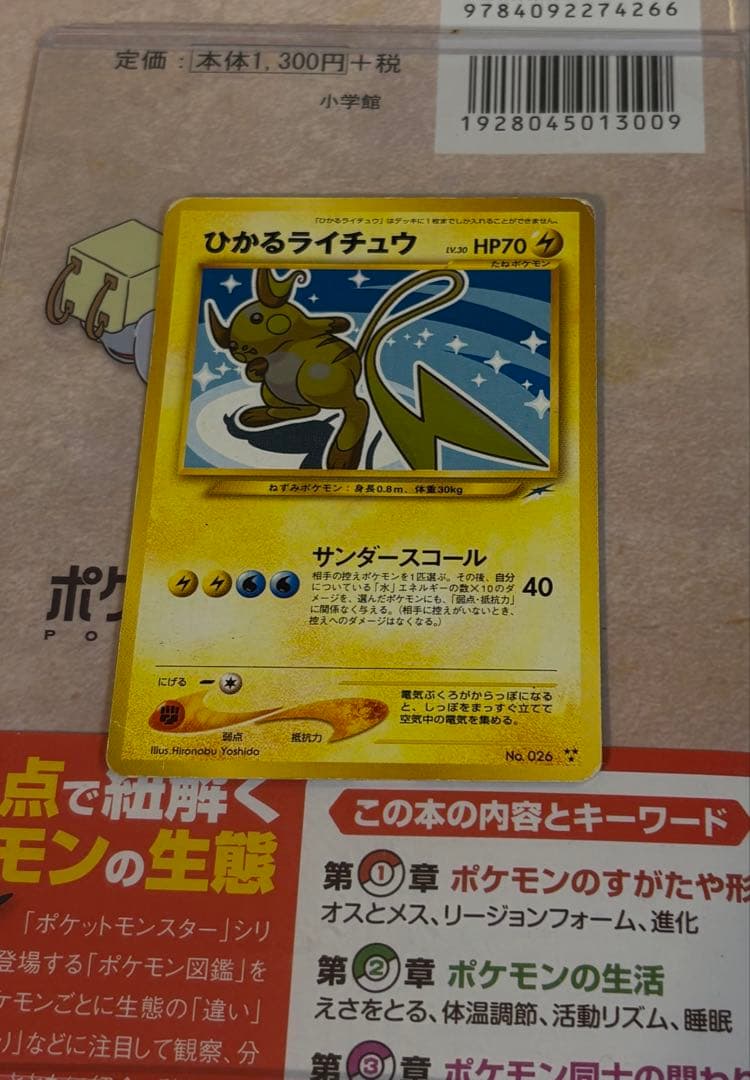 旧裏 ひかるライチュウ リザードン