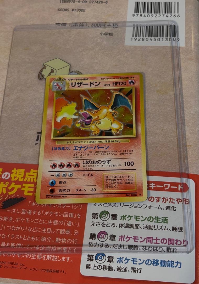 旧裏 ひかるライチュウ リザードン