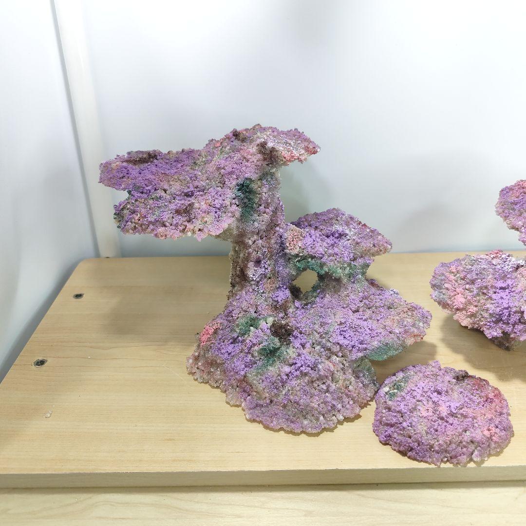 新品アク抜き不要 分離型人工ライブロック 60cm海水水槽用 レプリカ 多孔質5