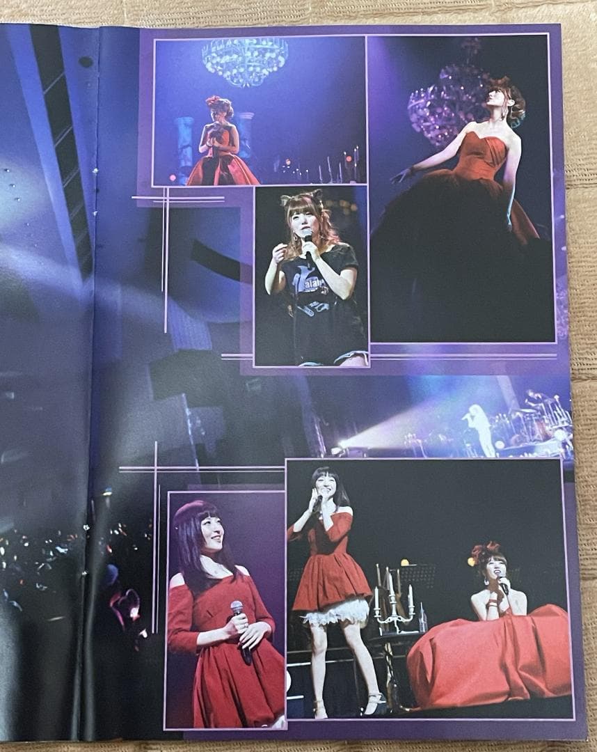 【希少】alan　アラン　阿蘭　symphony 2014 DVD