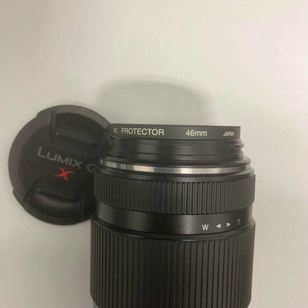 Panasonic パナソニック LUMIX G 45-175mm F4-5.6