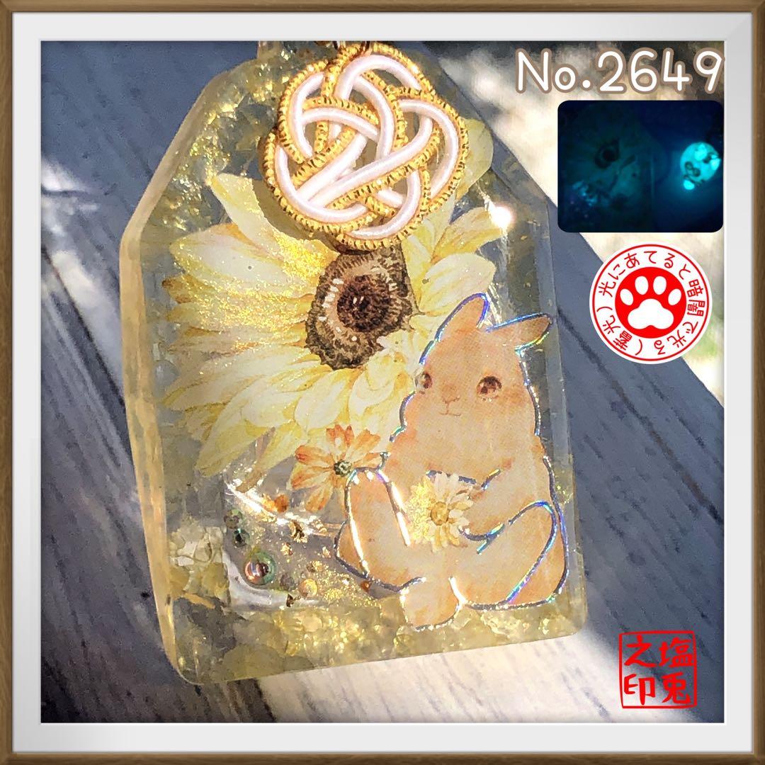 金隠師 サマ♡6点