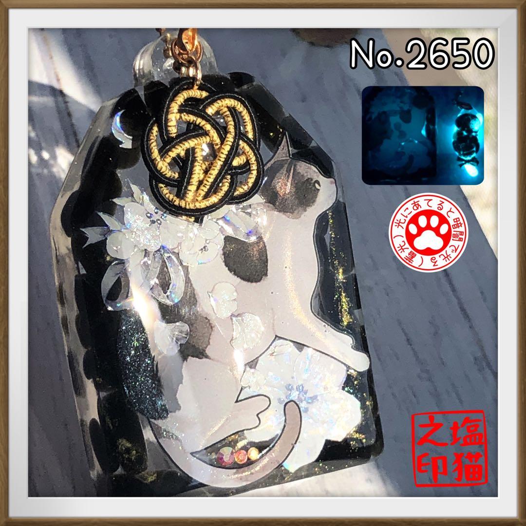 金隠師 サマ♡6点