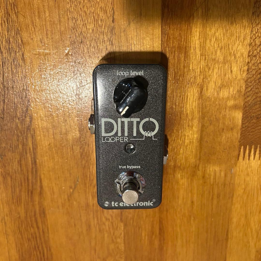 【美品】TC Electronic Ditto Looper