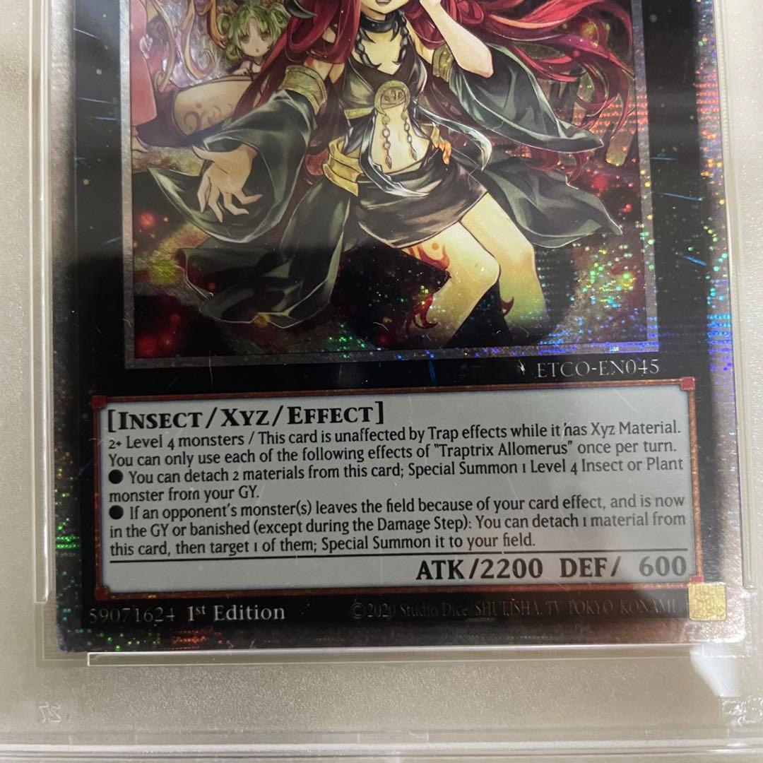 【鑑定済】 遊戯王 アロメルスの蟲惑魔 スターライトレア 英語版 PSA8