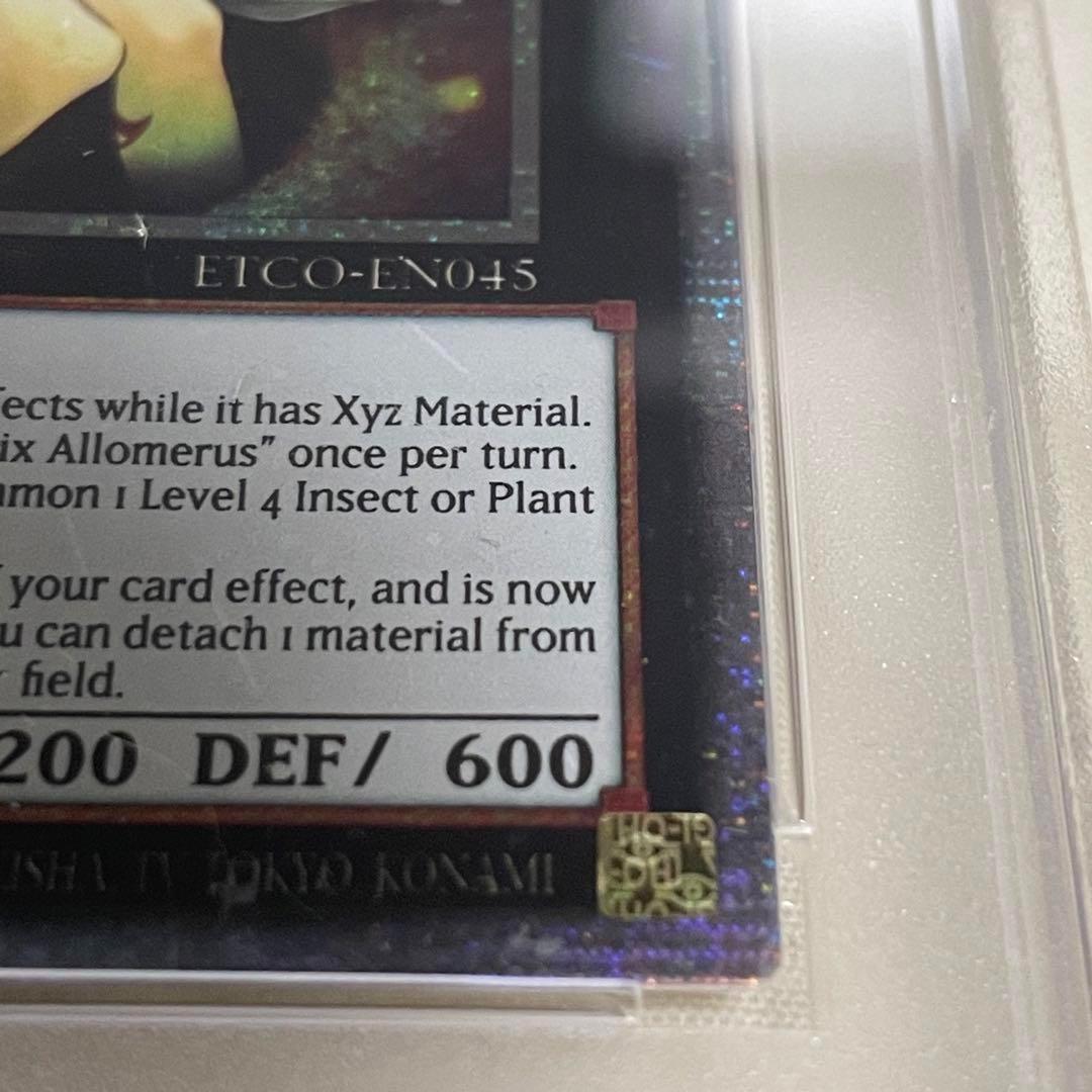 【鑑定済】 遊戯王 アロメルスの蟲惑魔 スターライトレア 英語版 PSA8