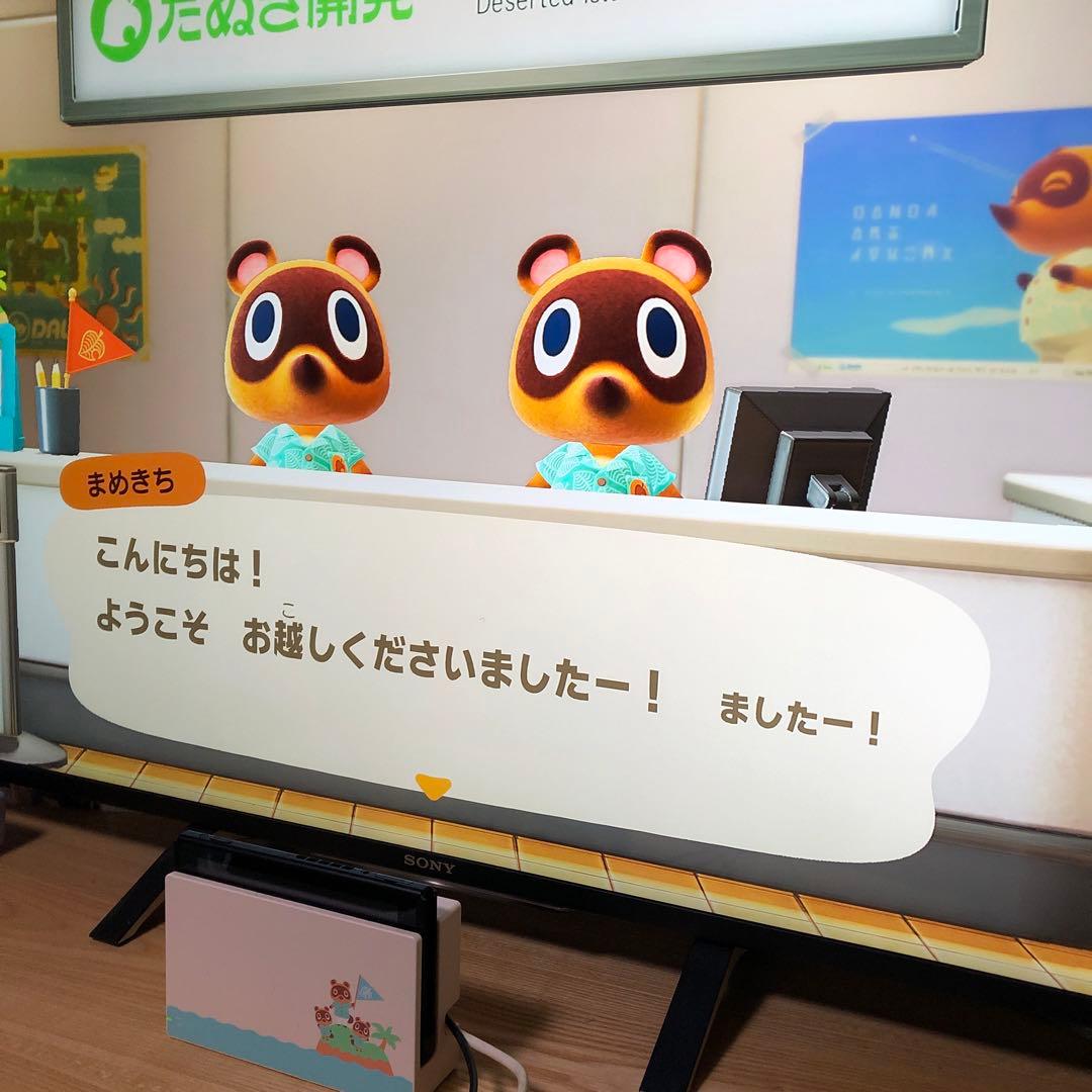 Nintendo Switch 本体　あつまれ どうぶつの森Ver ジャンク