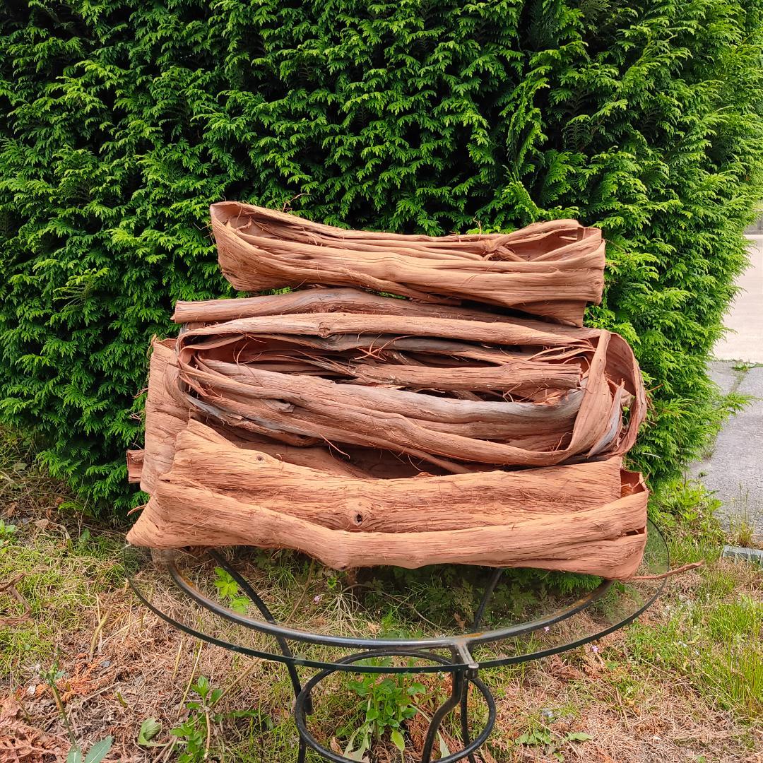 青森岩木山産 山葡萄 皮 樹皮 約3kg B品