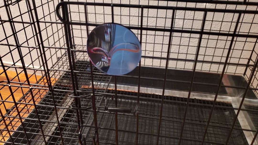 うさぎのしっぽ プロケージブラック60