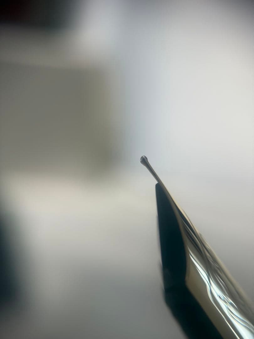 パイロット万年筆80週年、四神、黒漆