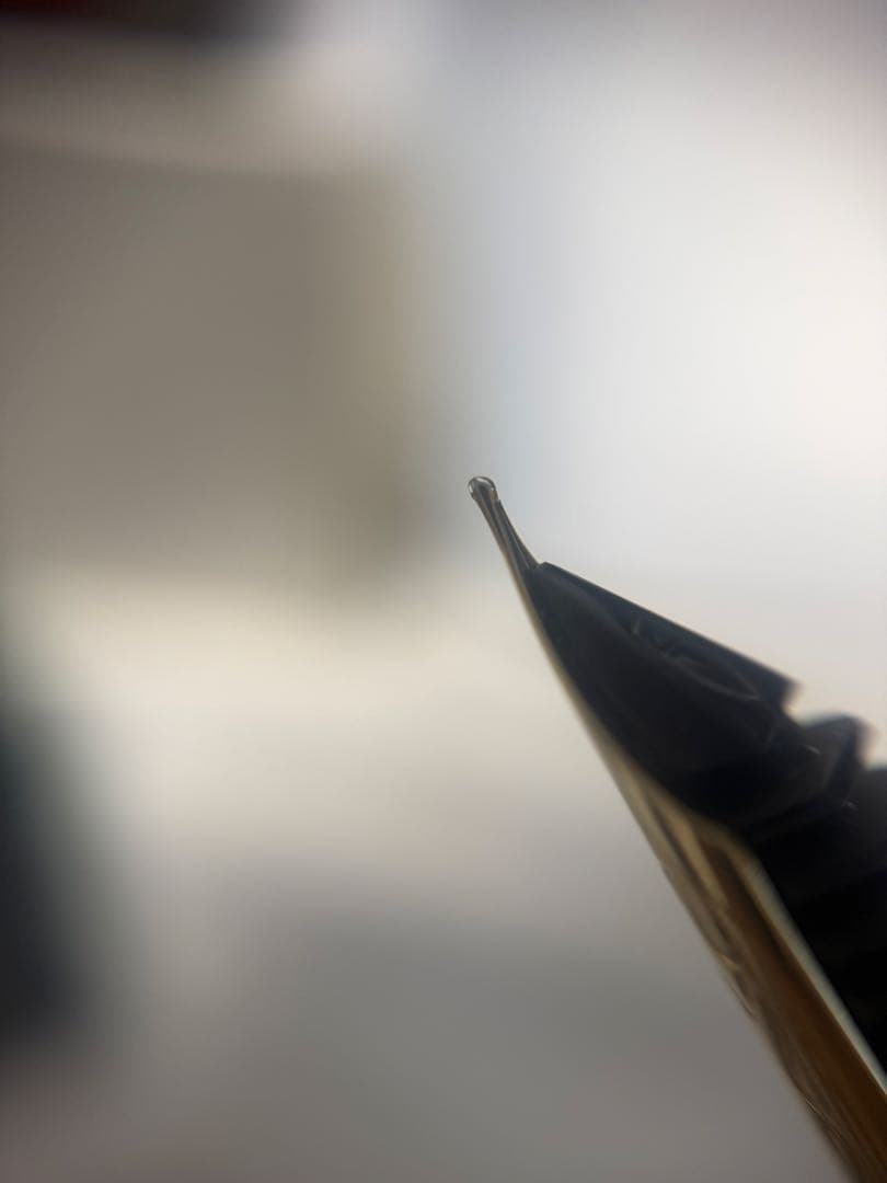 パイロット万年筆80週年、四神、黒漆